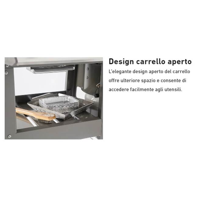 Vendita online Barbecue Spirit II E210 GBS